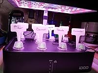 Review Image by Alf Alf