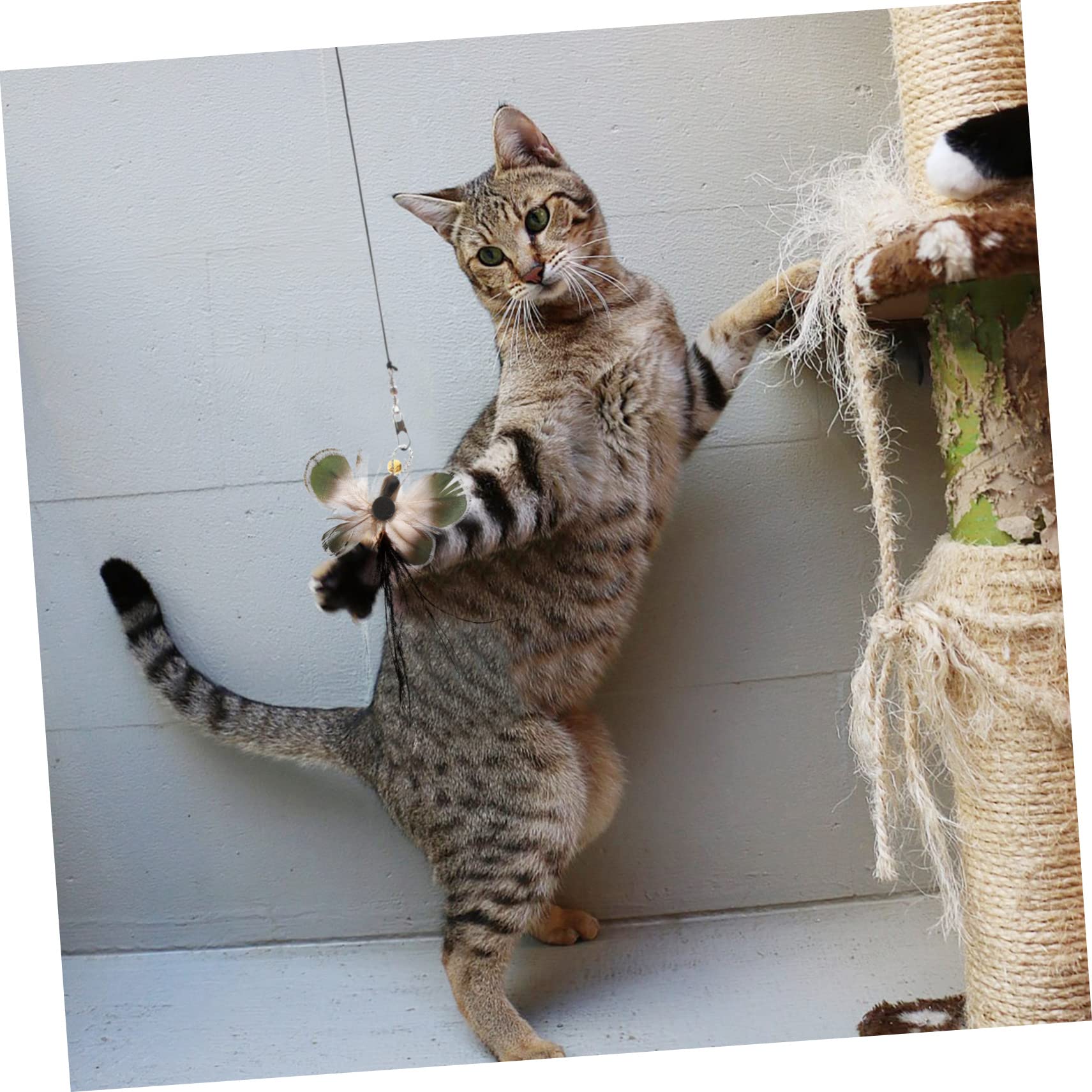 Kisangel 24pièces Têtes De Rechange pour Baguettes à Chat Jouets Interactifs Similicuir Insectes Et Plumes pour Chats Intérieur
