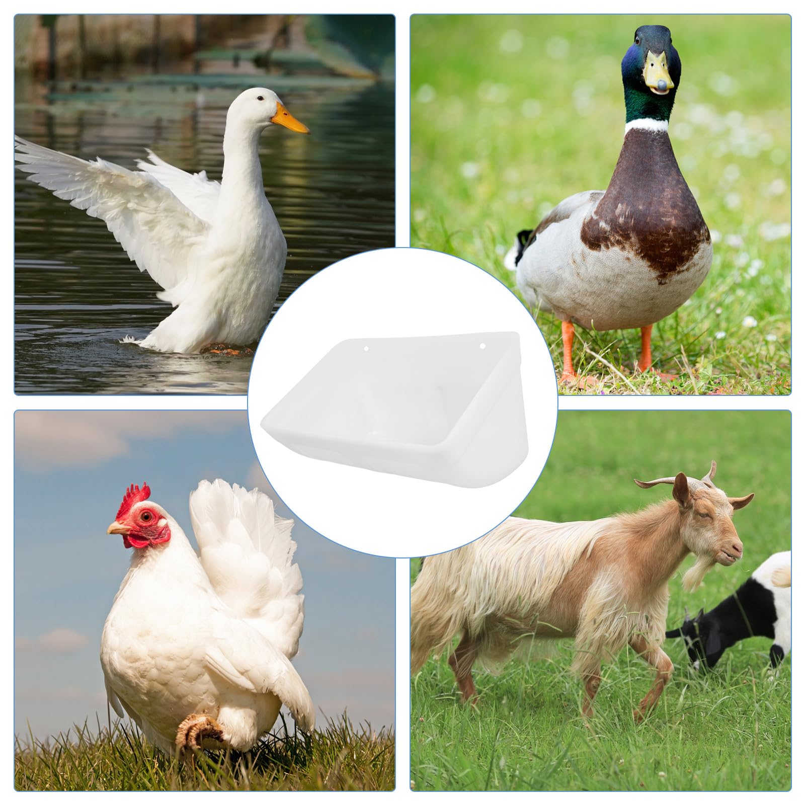 VALICLUD Lot de 2 Sets de Mangeoires à Poulets en Plastique Blanc Grosse Capacité à Suspendre pour Poulailler Récipient d'alimentation Polyvalent pour Volailles Chèvres et Animaux de