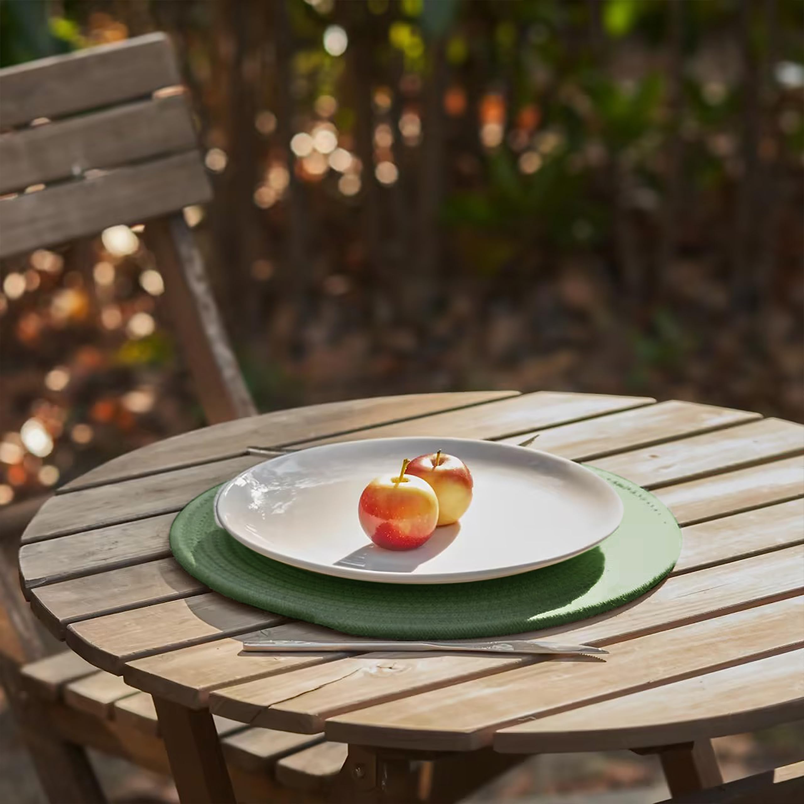 Art PineCone's 13-Inch Round Woven Placemats with Braided Rope Design - Non-Slip, Heat Resistant, and Perfect for Elevating Your Table Decor - Set of 4 with Holder Included (13 inch, Stone Green)