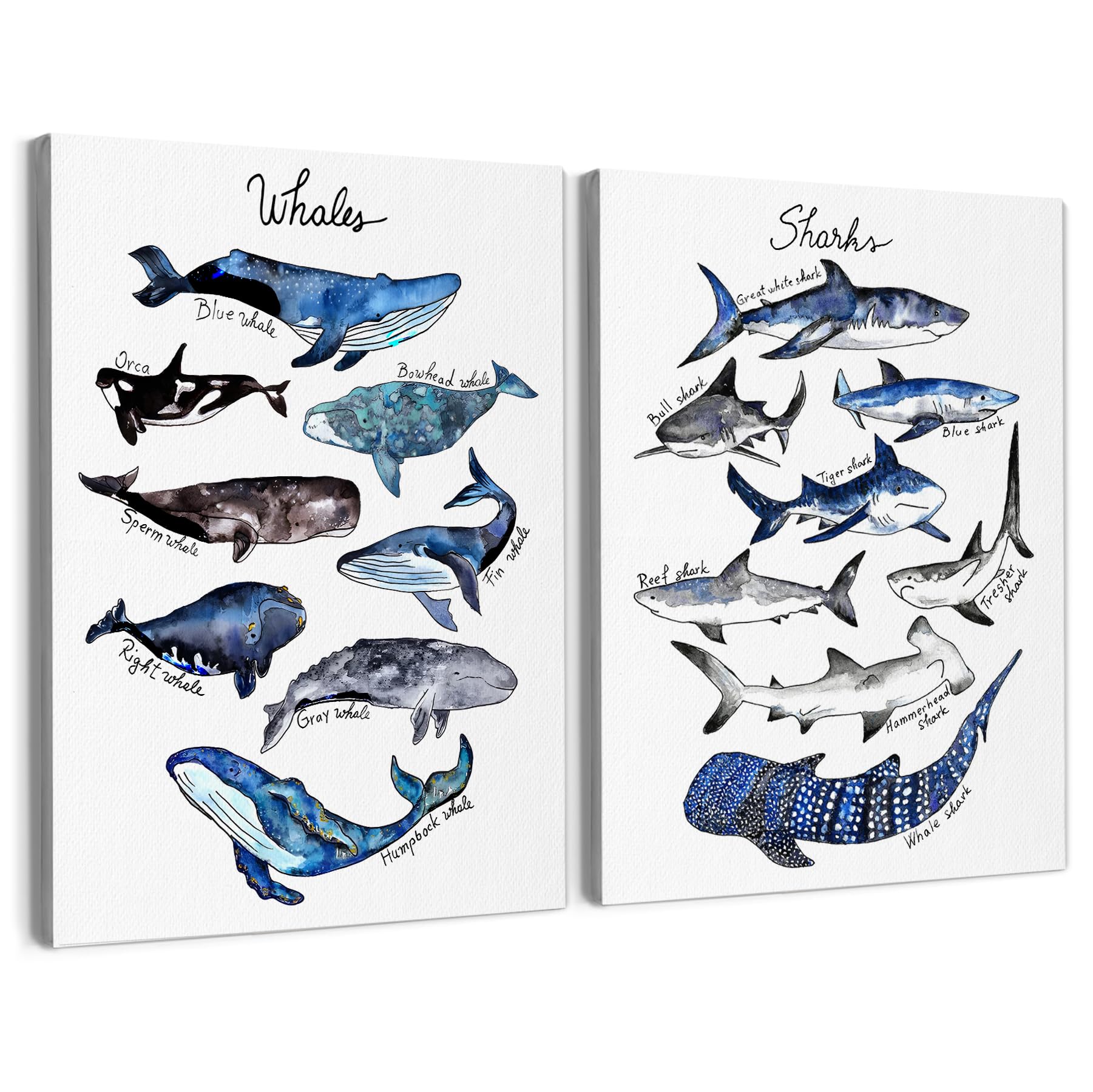 Shark Poster Hanger Frame - 12x16 Inch Coastal Wall Art With Wooden Frames For Boys Room, Classroom