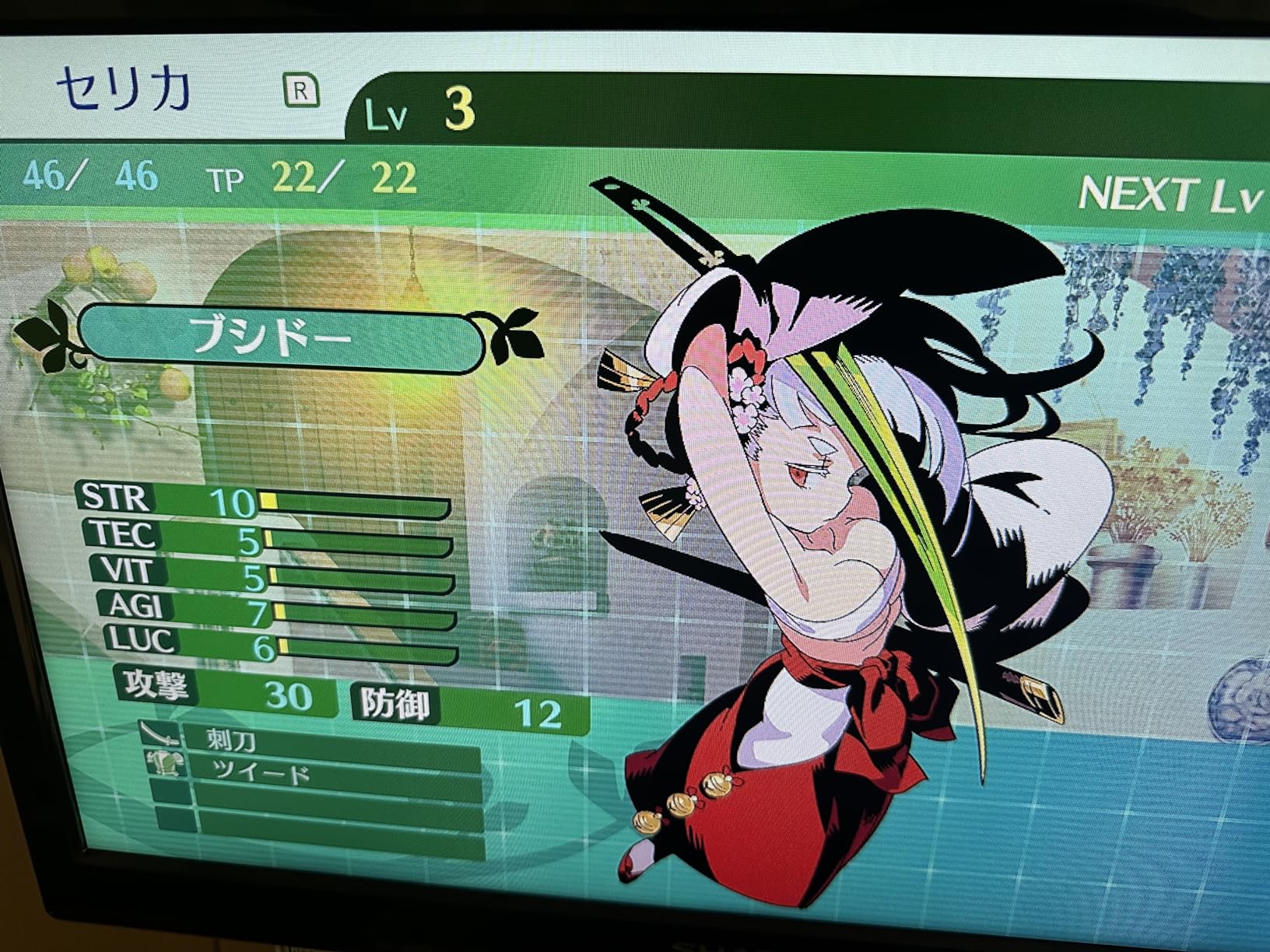 2D絵は素晴らしいです。ゲームは慣れが必要です。