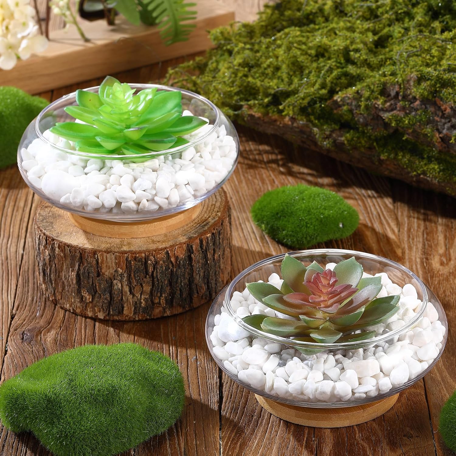 Baderke 4 Sets Glass Planter Bowls for Flowers with Tray 6'' Round Glass Vase Bowl Hydroponic Lotus Planter Pot Propagation Vases Fish Bowl for Plants Indoor Windowsill Kitchen Desktop Wedding Decor