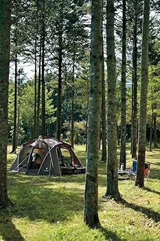  peak スノーピーク テント タシーク TP-640 キャンプ Amazon.co.jp: スノーピーク(snow peak) テント タシーク TP-640