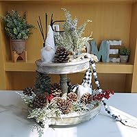 Vista 16 de Winlyn 20 piezas de púas de piña natural esmeriladas, adornos de piñas de pino con punta blanca con tallos de alambre de 6.9 pulgadas de alto