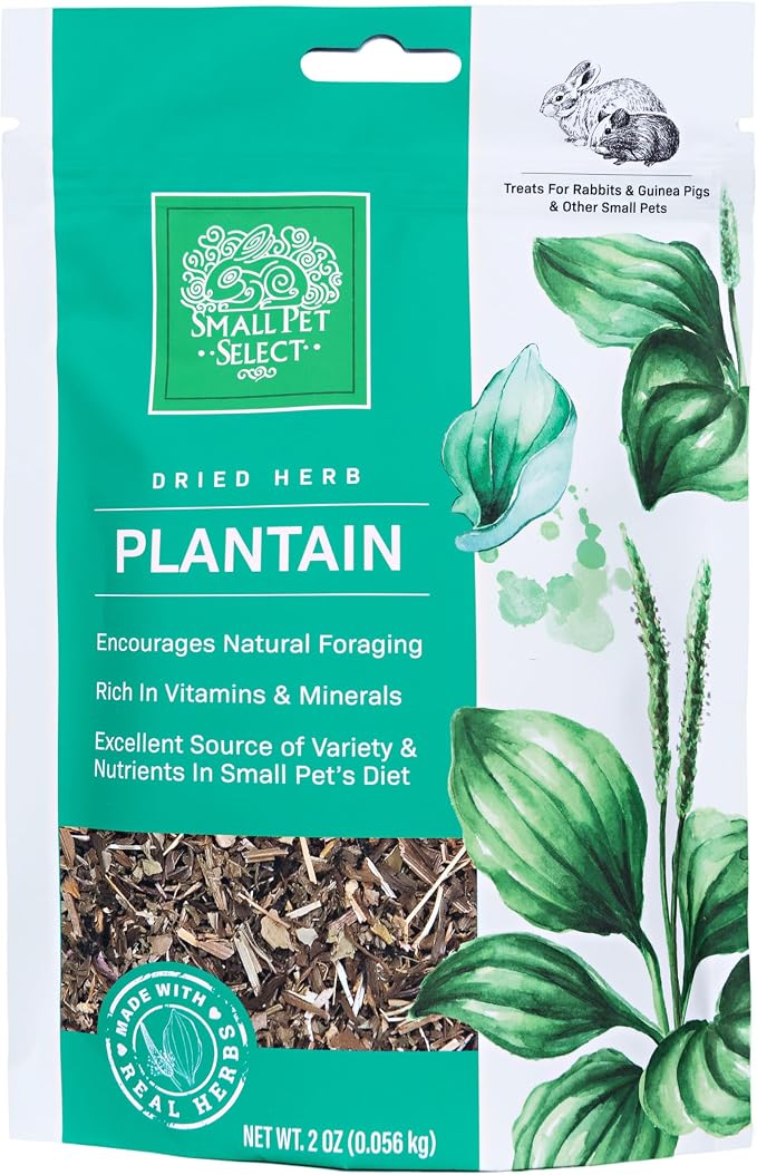 Small Pet Select Plantain, snack herbal natural 2 oz miniatura 3