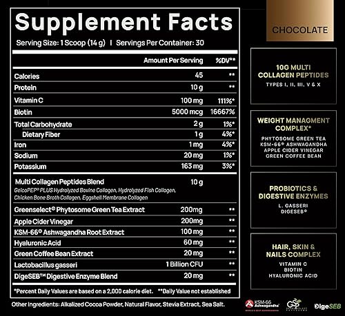 Miniatura 2 de TERRA ELMNT Polvo de colágeno múltiple de chocolate premium para mujeres para control de peso + cabello, piel y uñas con probióticos, ácido