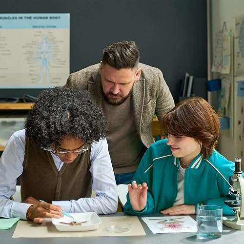 Miniatura 2 de Anatomy Lab Espécimen de rana de hierba para disección, para aulas de biología, inyección simple de 3-4 pulgadas, paquete al vacío de 10