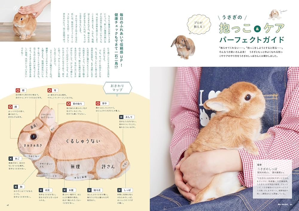 うさぎのきもちVOL.7 ([バラエティ]) | 東京書店 |本 | 通販 | Amazon