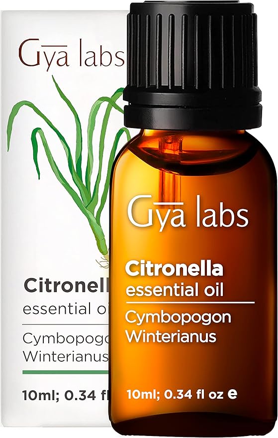 Gya Labs Citronella Oil for Candle Making Undiluted