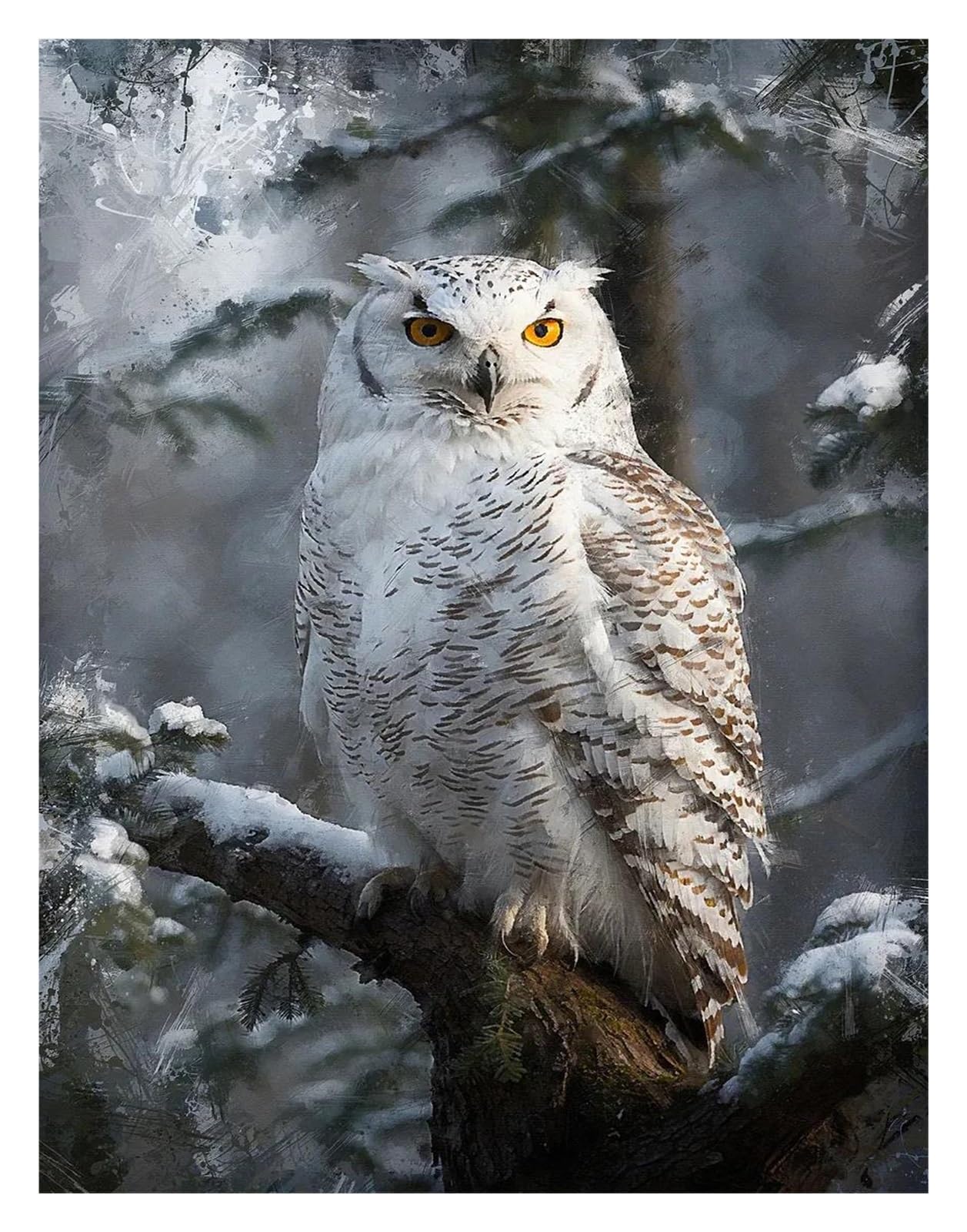 Xenite L Wal Art Canvas Prints Classic Majestic In Forest Photography Posters Prints Polar Ow Canvas Painting Wal Art Picture Home Iving Room Decor(,50X70cm)