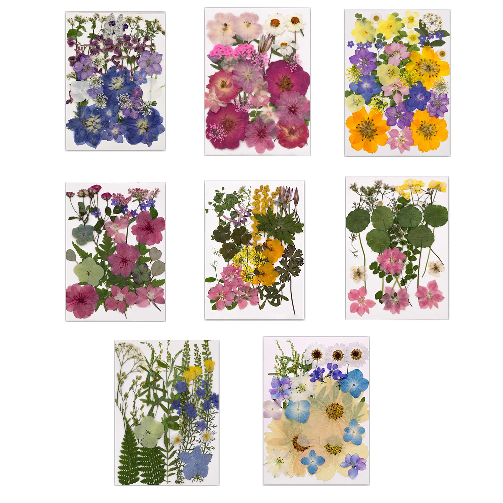 Pressato Essiccato Per Stampi In Resina Foglie Fiori Secchi Naturali Per Forniture Artistiche Artigianali Scrapbooking Creazione Candele Per Gioielli