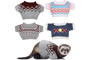 Adorable Ferret Clothes for the Cuddle-Loving Girl
