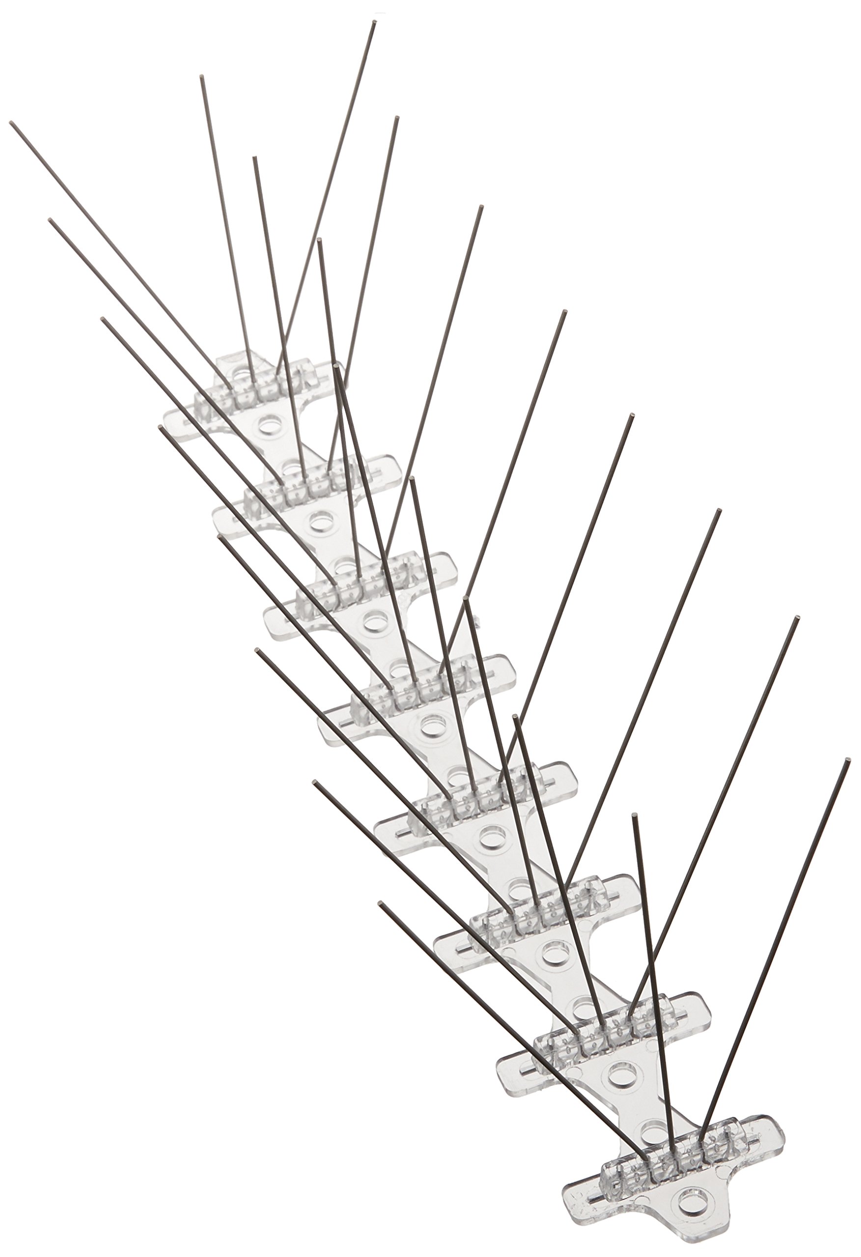 Bird B Gone Stainless Steel Bird Spikes - 6 ft Box