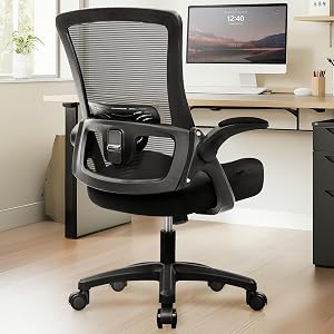 NEO CHAIR Office Desk Chair High Back Mesh Chair Adjustable Lumbar, Black
