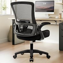 NEO CHAIR Office Desk Chair High Back Mesh Chair Adjustable Lumbar, Black | Ergonomic High-Back Design with Breathable Mesh, Flip-Up Armrests, Comfortable Support for Home office or Computer Work