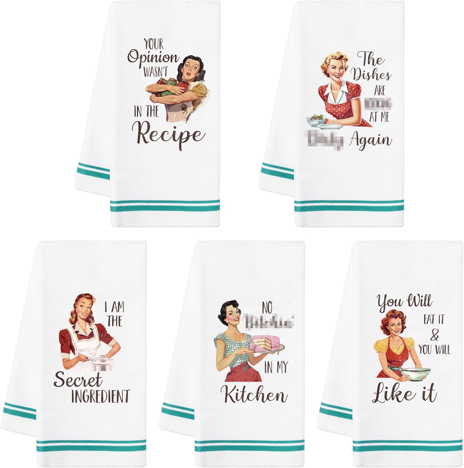 R HORSE 5Pcs Kitchen Dish Towel Funny Joked Themed Kitchen Dishcloth Absorbent Retro Sassy Lady Cleaning Dishcloth Bar Hilarious Hand Towel Gift for Hostess Mom Women Housewarming