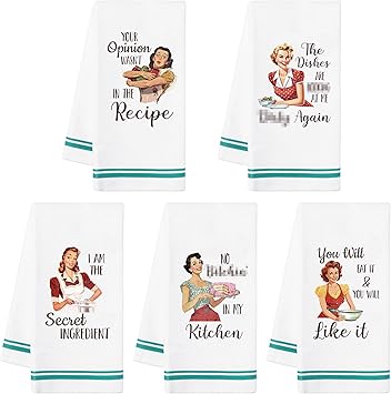 R HORSE 5Pcs Kitchen Dish Towel Funny Joked Themed Kitchen Dishcloth Absorbent Retro Sassy Lady Cleaning Dishcloth Bar Hilarious Hand Towel Gift for Hostess Mom Women Housewarming