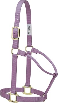 Weaver Leather Original Non-Adjustable Nylon Horse Halter, Average, Lavender