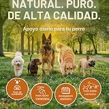 Ver la foto 6