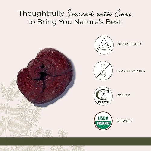 Miniatura 4 de Starwest Botanicals Setas Reishi rojas enteras orgánicas - Setas Reishi secas para té de hierbas y cocina, Ganoderma Lucidum, certificado Kosher,