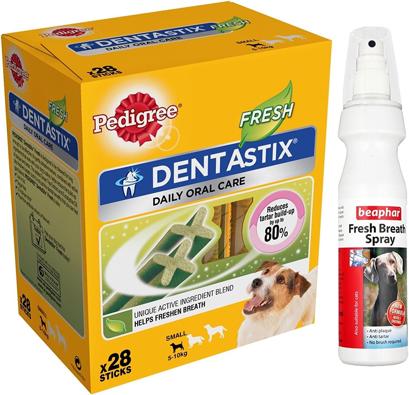 How To Keep Your Dogs Breath Smelling Good