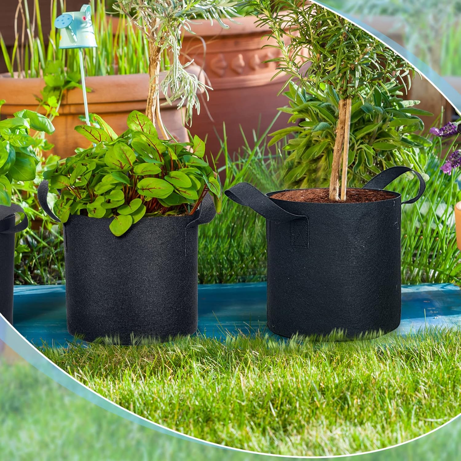 45 Pack Grow Bags Aeration Fabric Planter Pots Nonwoven Grow Bags with Handles Black Plant Container Bucket for Garden Planting Vegetable Flower Potato (3 Gallon) - Image 7
