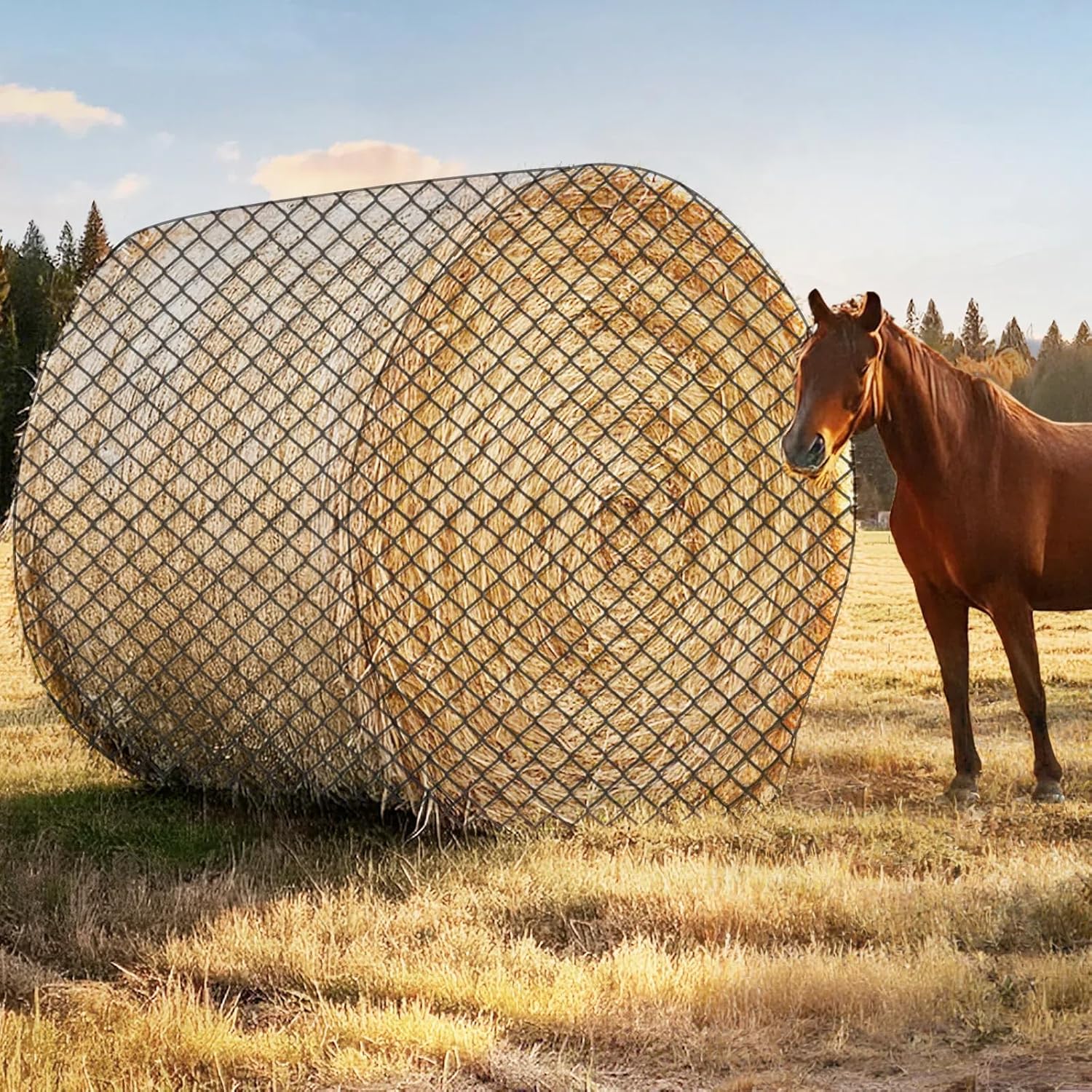 Large Round Bale Hay Net for Horses, 5x5 ft Hay Nets for Horses Slow Feed Knotless, Slow Feeder Hay nets for Horses, Fits Round Bales 4x4ft and 5x5ft, Square Bales 3x3x8ft and 4x4x8ft