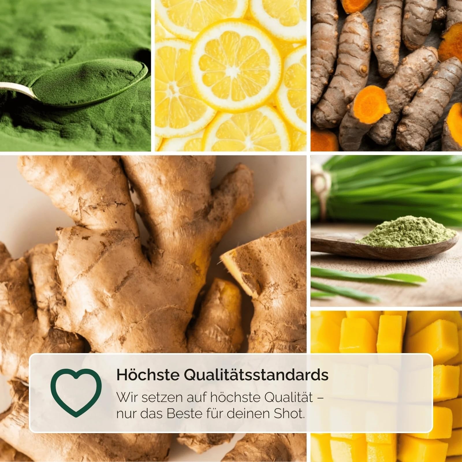 Hansegrün - Immundarmset (110 Shots) - Bio-Shots mit Ingwer & Greens - Veganes Superfood-Pulver zur Stärkung von Immunsystem¹ & Darm-Gesundheit³ - 100% echte Zutaten zur täglichen Zubereitung
