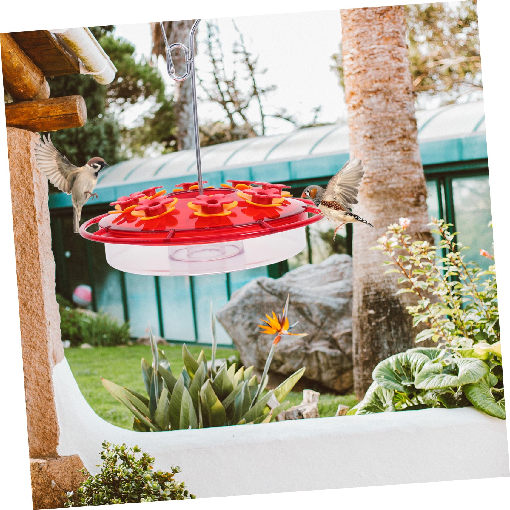 Comedero Colgante para Pájaros Bebedero Decorativo para Colibríes y Pájaros