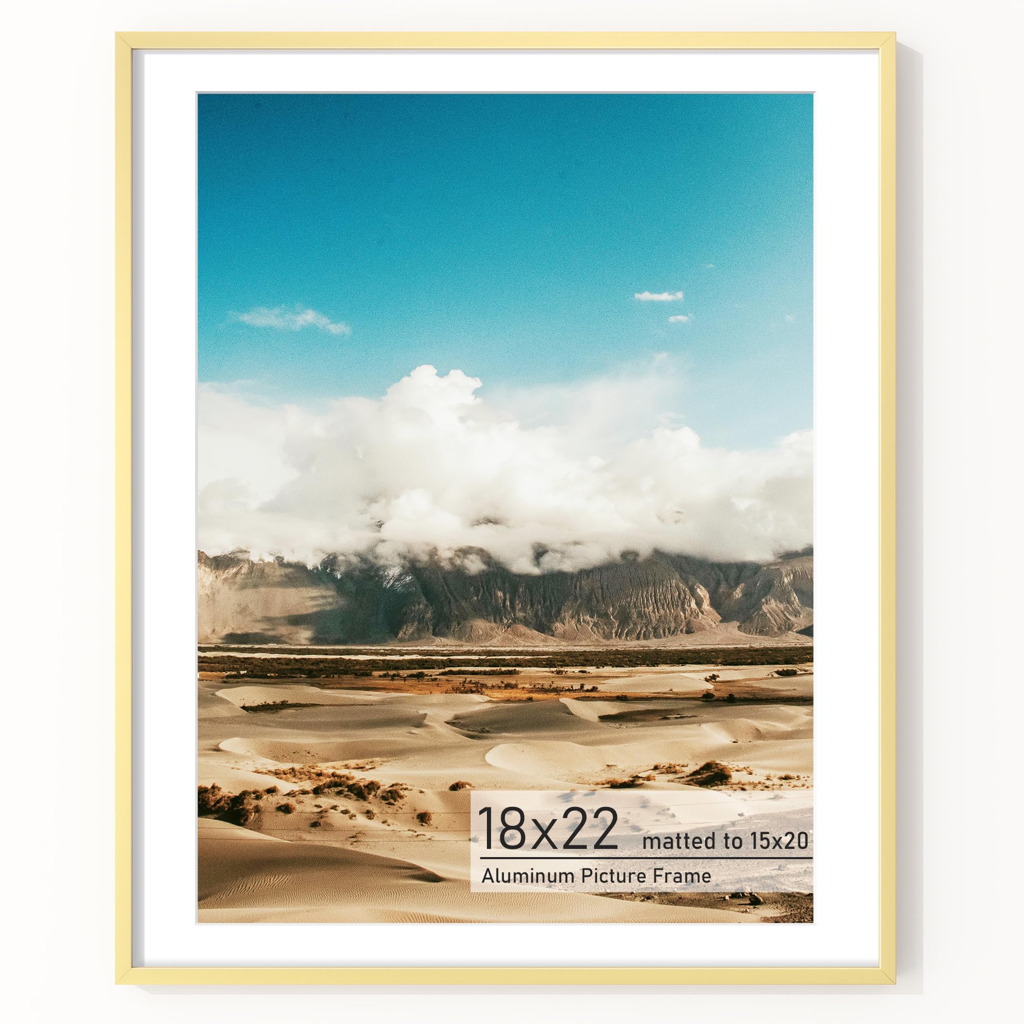 Acovy 18x22 Aluminum Picture Frame