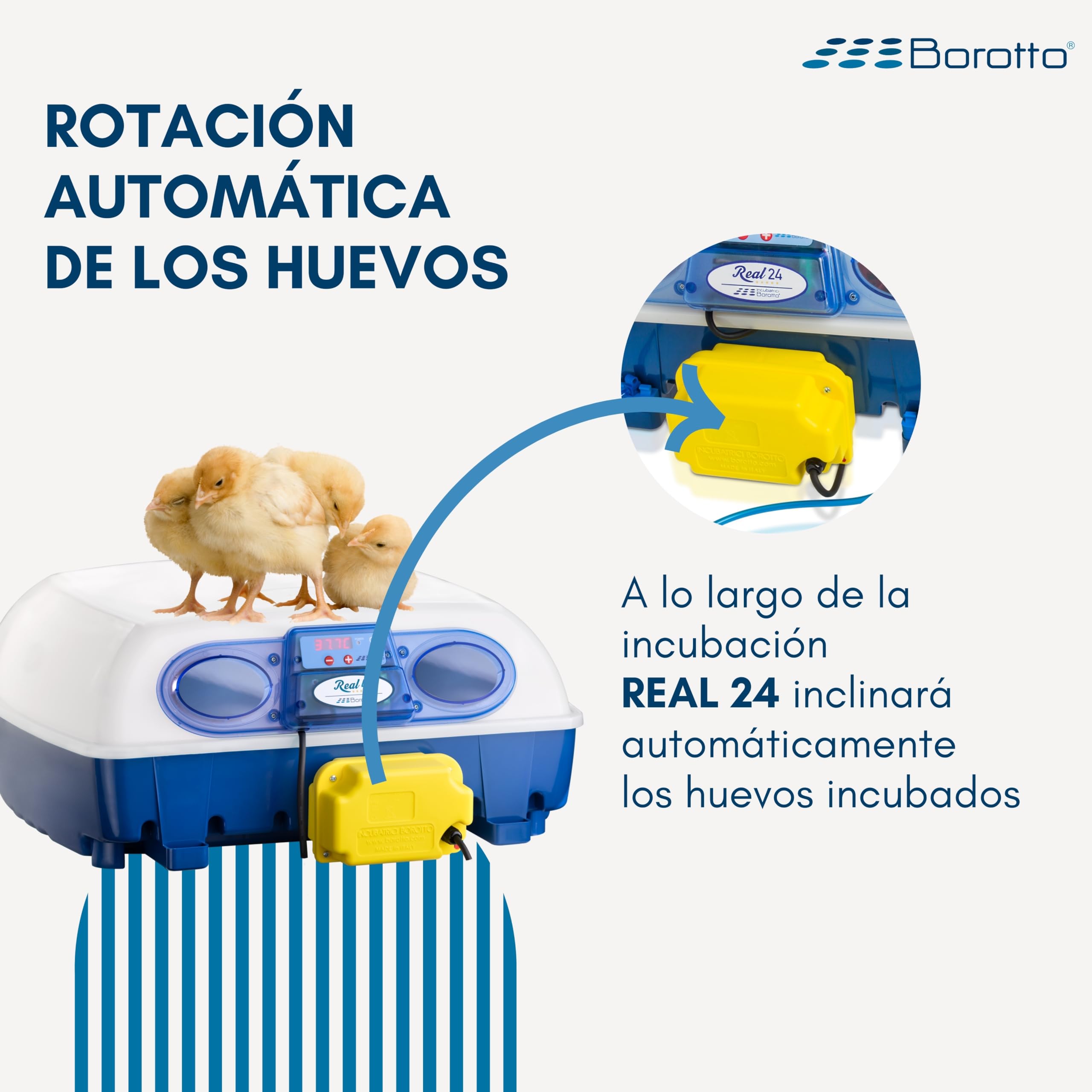 Borotto Real 24 Expert | Incubadora de Huevos Automática Profesional Patentada 24 Huevos o 96 Pequeños con Volteador de Huevos Automático, Control Temperatura, Humidificador Sirio | Made in Italy