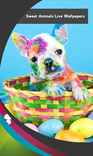 Imagens animadas de Sweet Animals Live