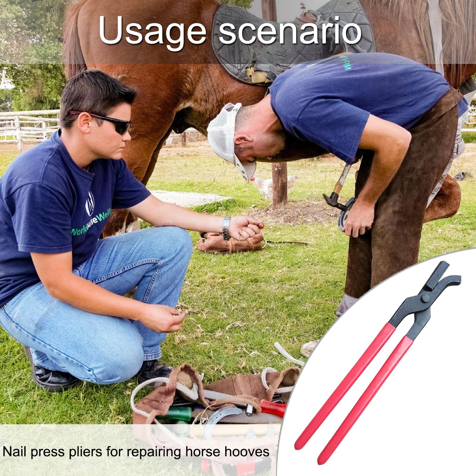 Strumento professionale di taglio dello zoccolo del cavallo dell'acciaio inossidabile Chiodi dello zoccolo del cavallo Clincher Zoccolo del cavallo Nipper Attrezzatura del cavallo
