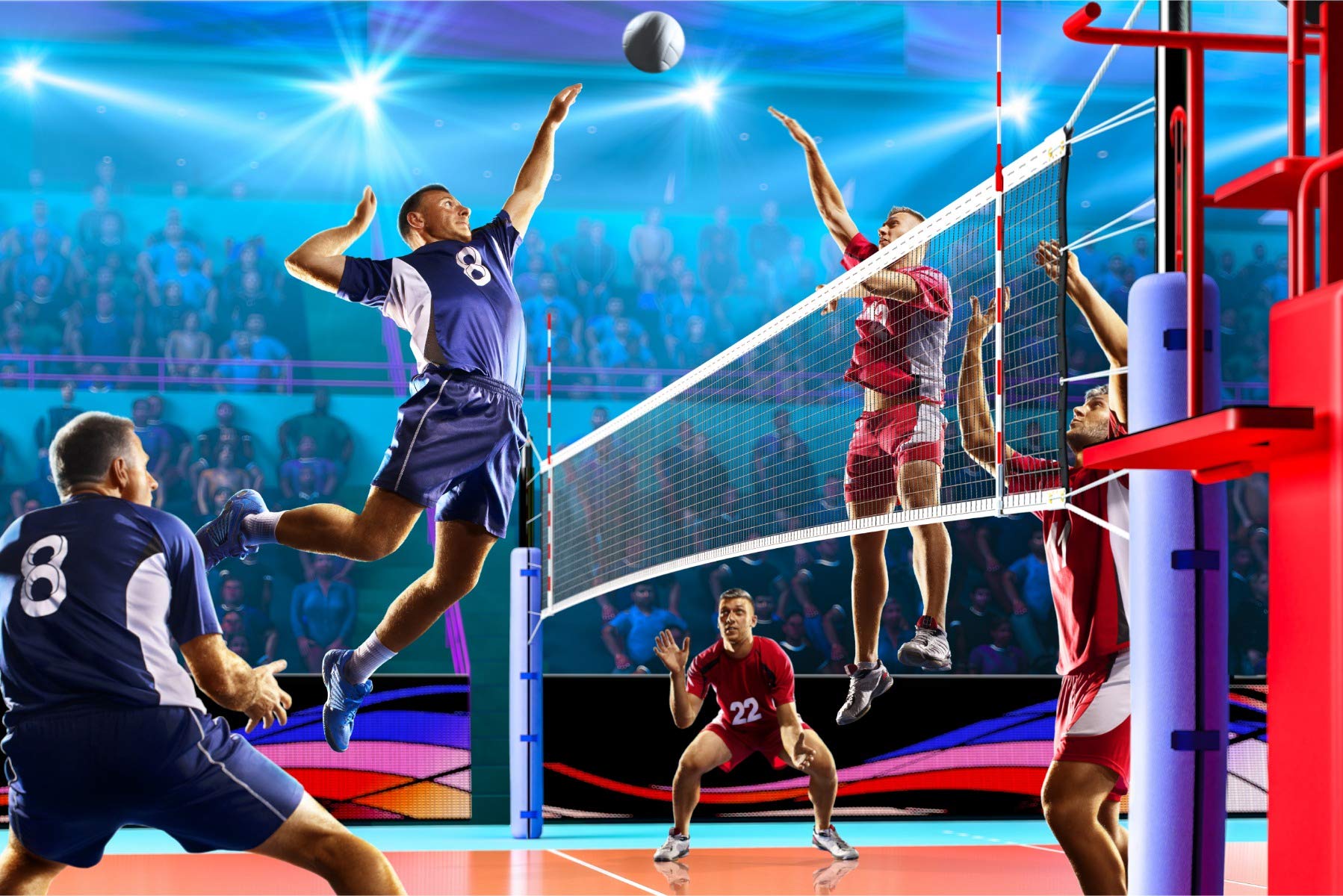 Muralo 312 x 219 cm Self Adhesive Photo Wallpaper for Volleyball Player Sports Game Modern 3D for Living Room Bedroom Wall XXL 312 cm x Height 219 cm ...