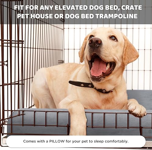 Miniatura 7 de DREAMANIA Cama ortopédica para perro, cama mejorada de espuma para perros de 32 x 20.7 pulgadas con almohada, funda extraíble, tapete de cama de