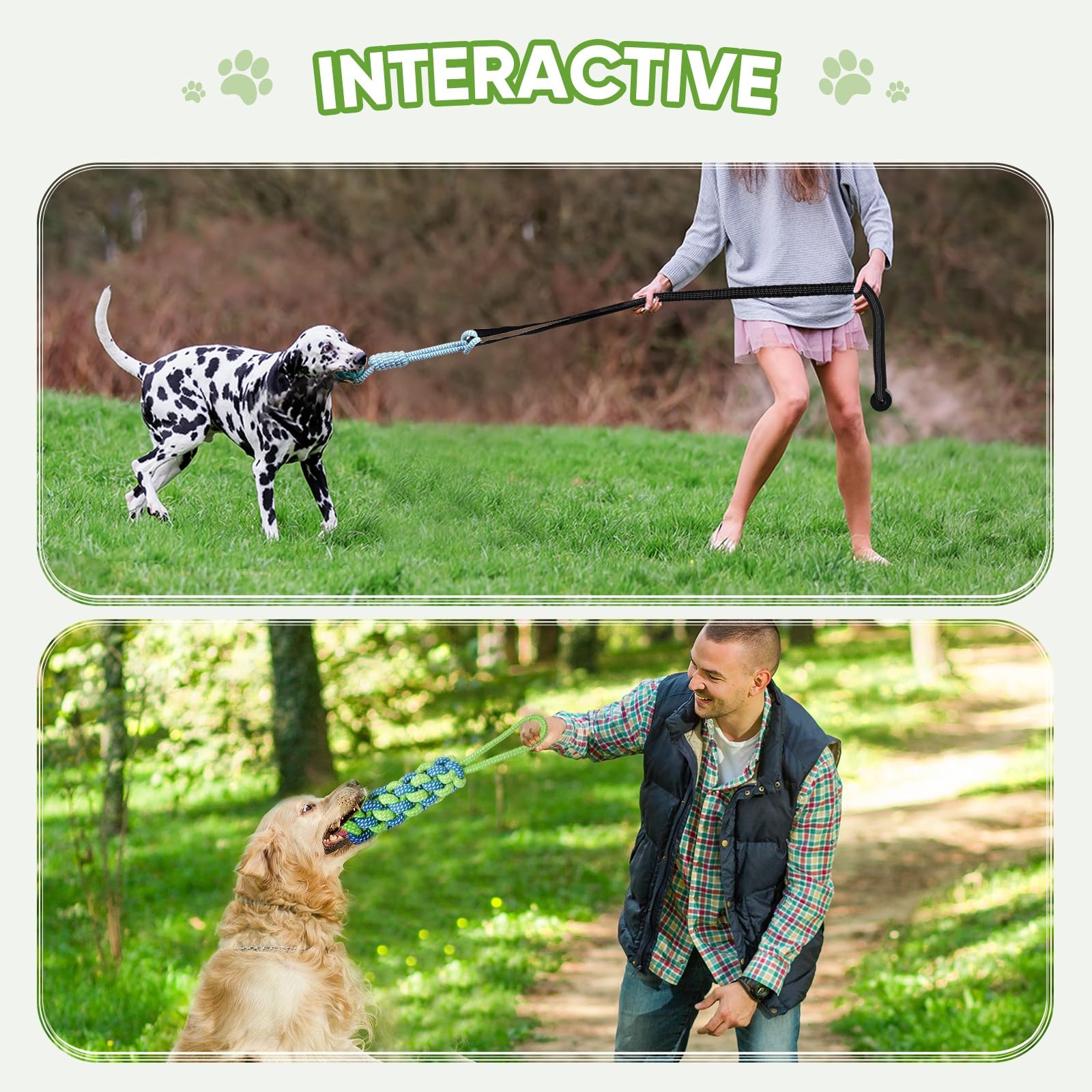 Juguete elástico para perros, juego interactivo de juguete para tirar de la guerra con correa, cuerda y bola, juguete colgante de árbol con 2 cuerdas para masticar, bola de rompecabezas para