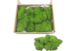 FAICOIA Moss Pillow 1.29 Sq