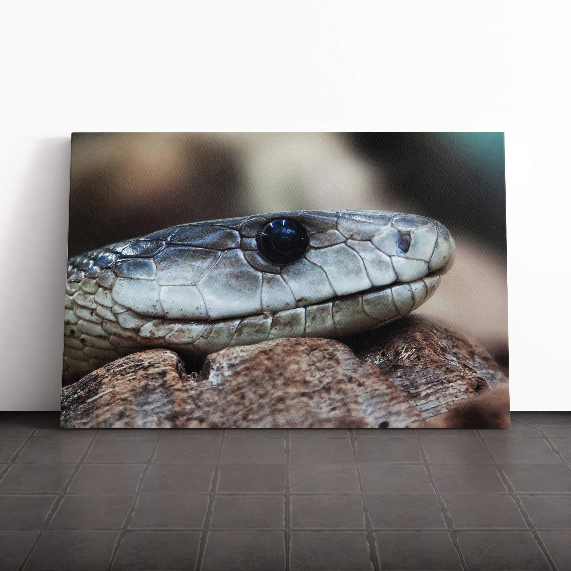 Viper Snake Canvas Print | Gallery Wrapped 30mm Frame Wall Art | 24x16 inches | Ready to Hang | Modern Animals Picture | Living Room Bedroom Lounge Office