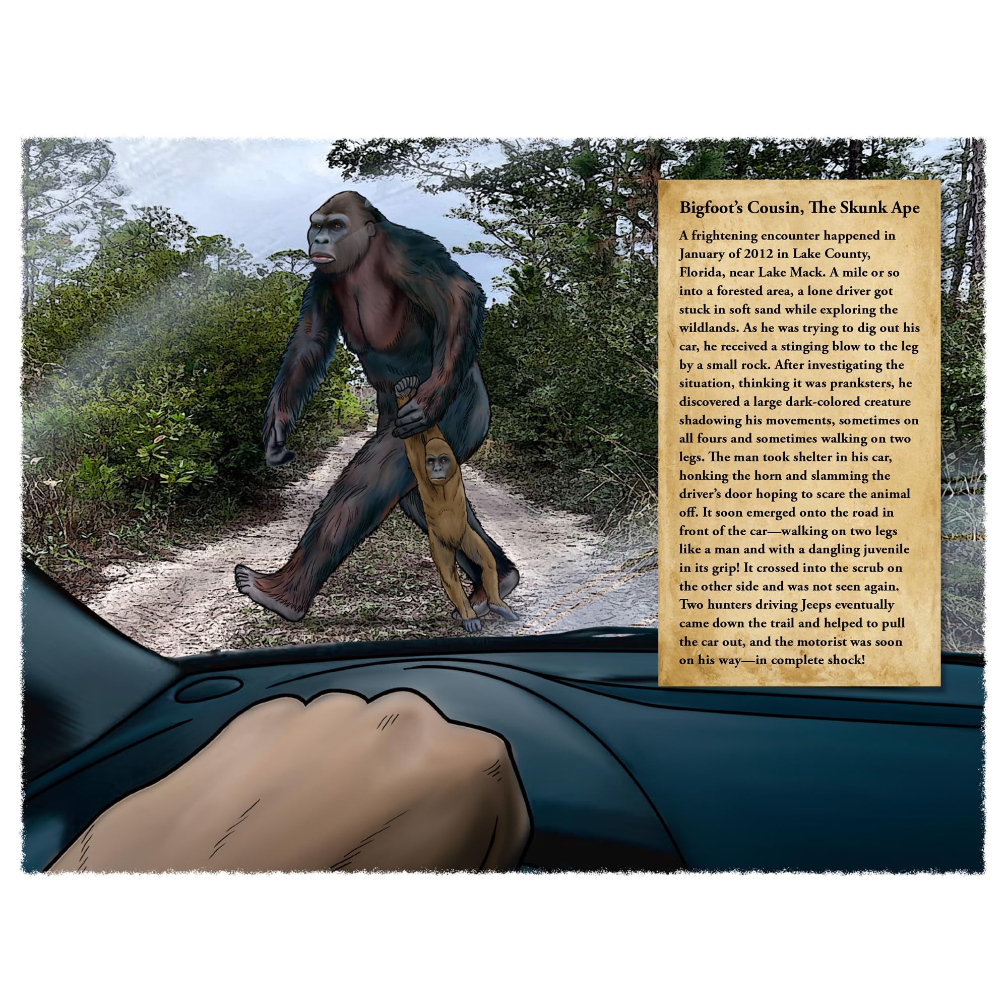 Calendario 2025 Bigfoot – Calendario de pared de 13 meses de 11 x 19 pulgadas abierto – Regalo divertido para los fans de Sasquatch, Cryptids, y lo desconocido (encuentros peligrosos)
