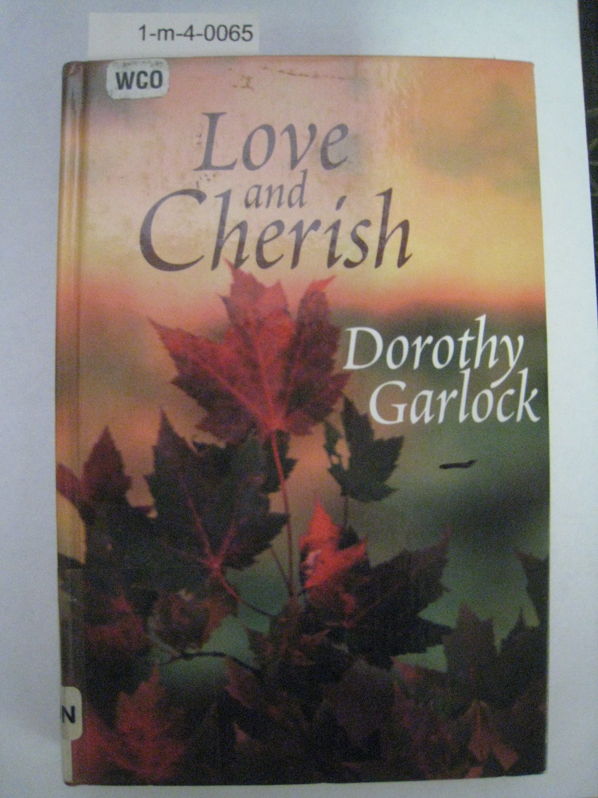 Buy Love and Cherish (Five Star Standard Print Romance) โ BookShops.in