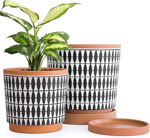 Miniatura 9 de D'vine Dev Juego de 2 macetas de terracota, 4 y 6 pulgadas, macetas para plantas con agujeros de drenaje y platillos, color rojo y blanco, 31-958-B-1