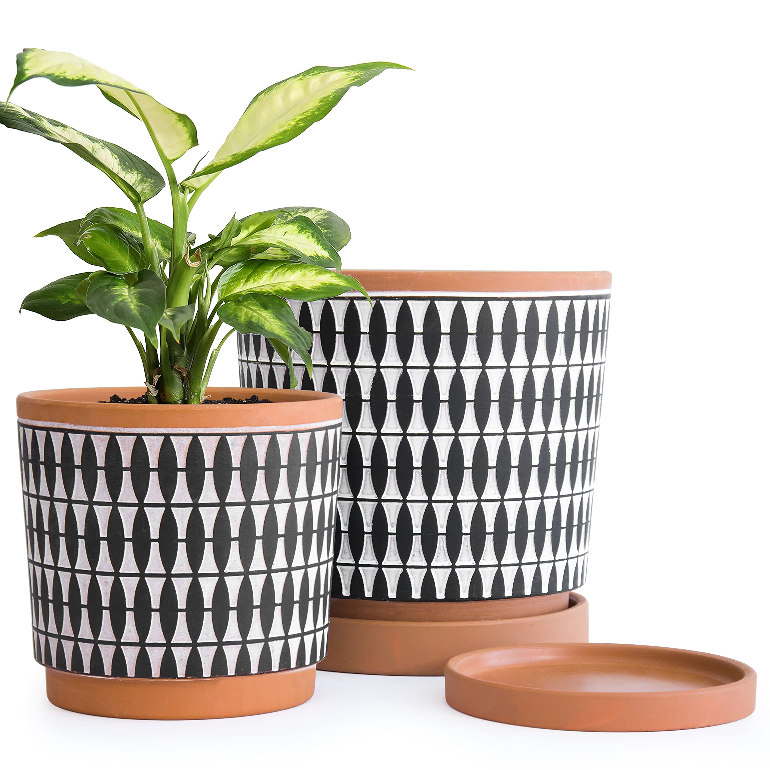 D'vine Dev 2-Pack Terracotta Pots