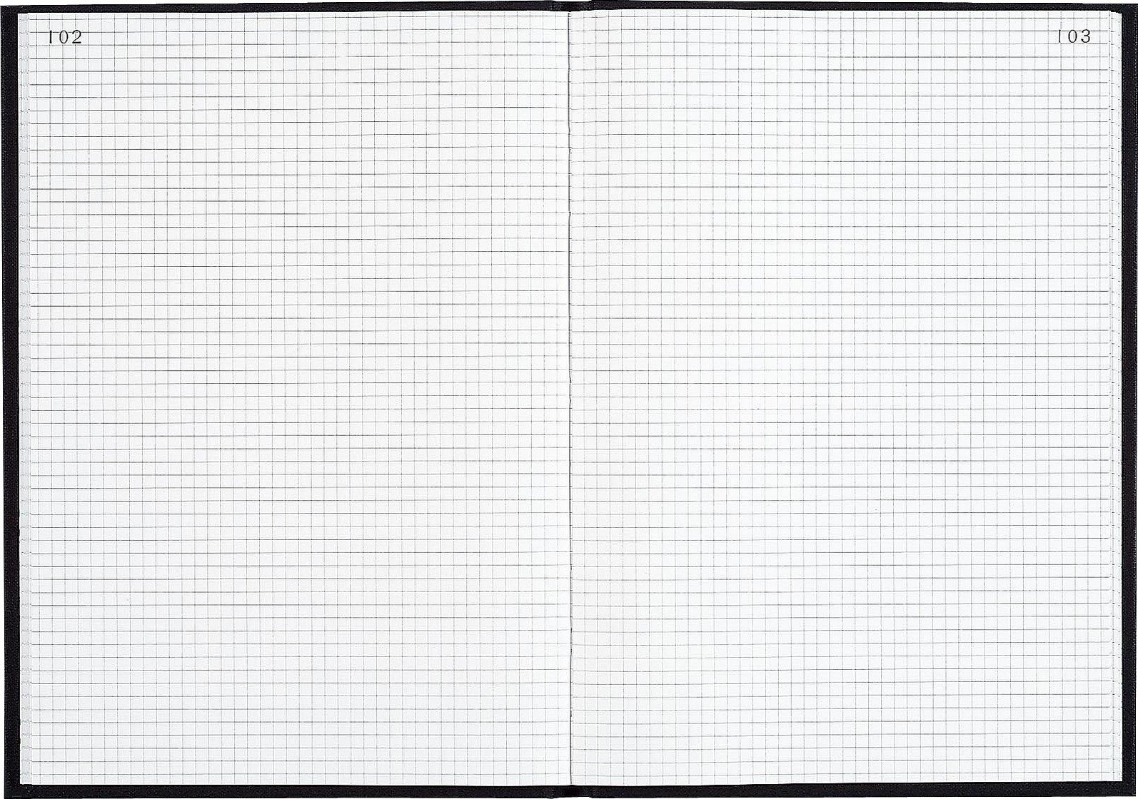 Le Dauphin 427407D Premium Notizbuch 400 Seiten kariert 35 x 23,5cm schwarz hochwertiges Papier, stabiler Einband