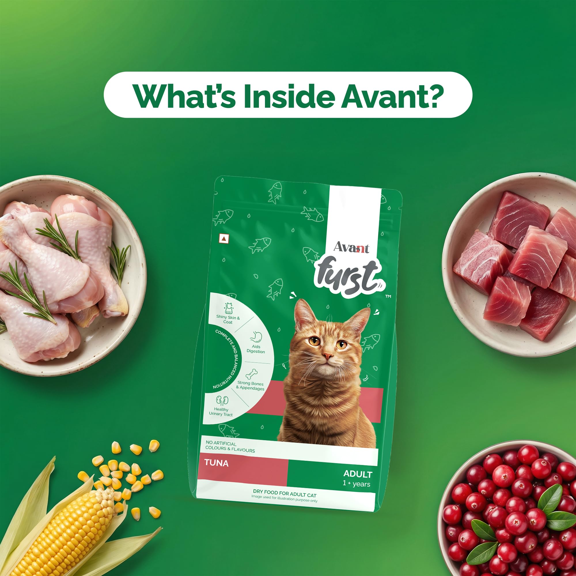 Avant Furst Adult Dry Cat Food Tuna Fish Flavor, Cat Food Dry with Real Tuna Fish, Taurine, Omega 3 & 6, No Artificial Additives, Daily Nutrition for Adult Cats, 400g 3
