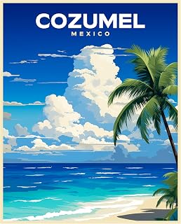 R and R Imports Cozumel Mexico Souvenir Vintage Travel Poster 11x14