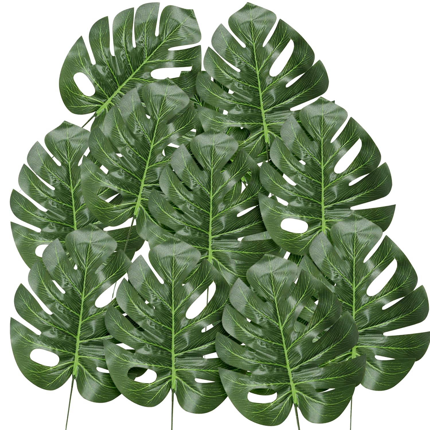TIED RIBBONS Plastic 10 Pcs Artificial Monstera Plant Leaves Flowers For Home Decor Living Room Vase Office Balcony Table Birthday Anniversary Wedding Decoration Items (35.56 X 17.78 Cm, Green) (B0D17YZ4B1) Amazon Price History, Amazon Price Tracker