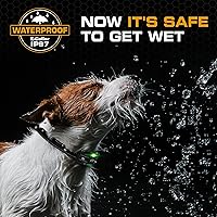 Vista 3 de INVIROX Dog Training Collar for Large Dog X2 [2026 Edition] 123 Levels Dog E Collars 1100yd Range, 100% Waterproof, Rechargeable Electric Collars