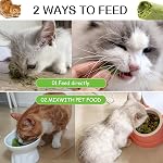 50g Cat Grass Teething Stick for Cat, Freezed Dried Cats Grass Treats Snacks, Edible Cats Chew Toys for Teeth Cleaning and Hairball Removal