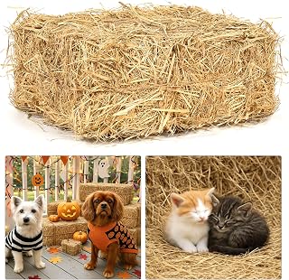 Natural Wheat Straw – 3 LB Clean Dry Straw Bale for Stray Cats & Dogs, Soft Straw Bedding for Cat Shelter, Hay Bales for Decoration, Yard or Farm Use